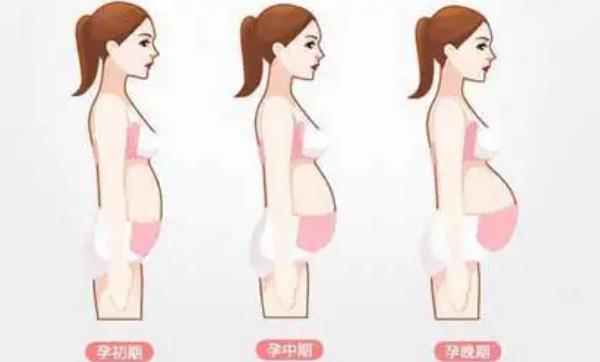 怀孕10天最明显的征兆：恶心呕吐、月经推迟都是怀孕早期的明显特征-第4张图片-爱薇女性网