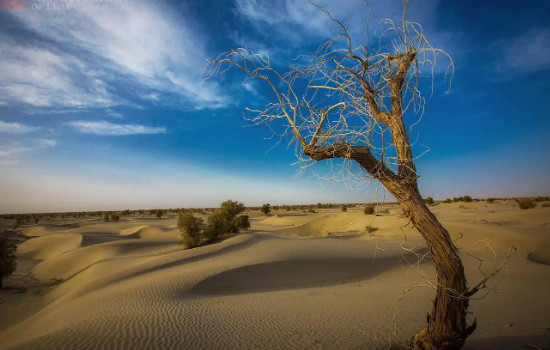 我国最干旱的沙漠：塔克拉玛干沙漠-第2张图片-爱薇女性网