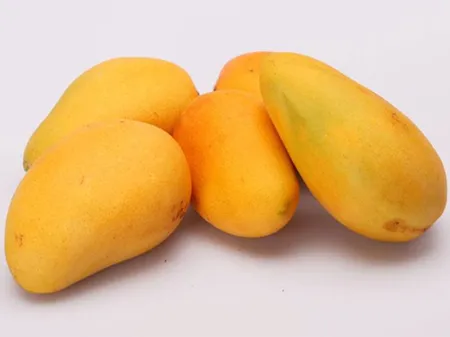 芒果是热性还是凉性-第2张图片-爱薇女性网