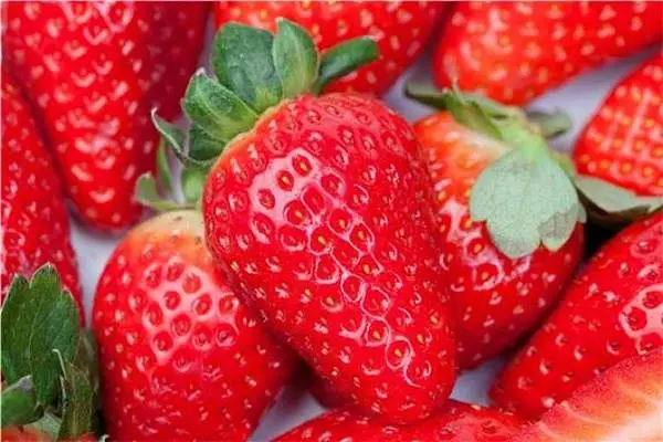 草莓是什么季节的水果-第2张图片-爱薇女性网