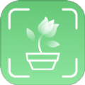 青松奇源APP